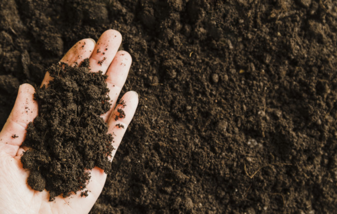 土壤緊實(shí)度-什么是土壤緊實(shí)度速測(cè)儀？