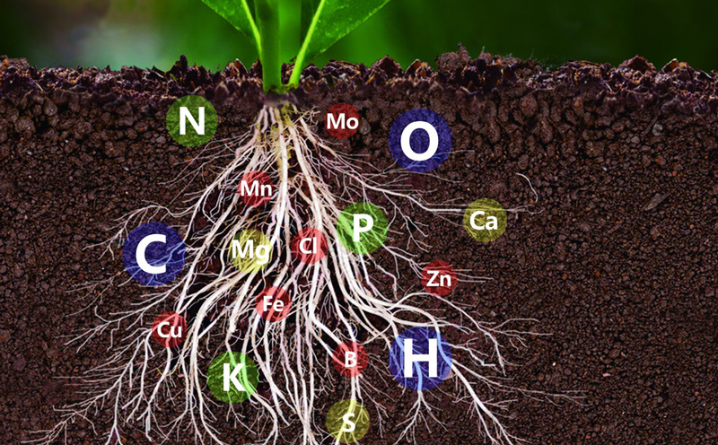 土壤中氮磷鉀含量的測(cè)定，土壤氮磷鉀檢測(cè)儀快速準(zhǔn)確
