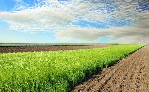 土壤養分分析儀助力減肥增效的工作實施