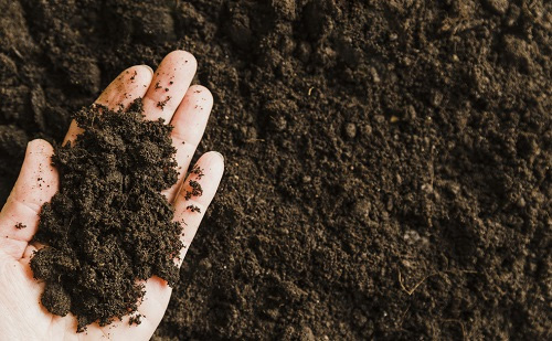 土壤養分速測儀輕松提升土壤肥力效果