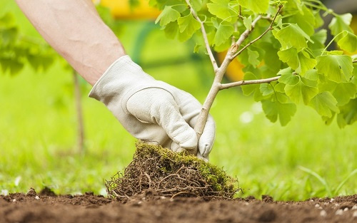利用土壤養分檢測儀測土配方，讓施肥更科學