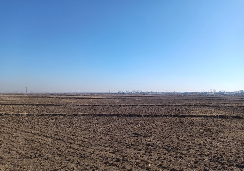 土壤肥力的平衡--利用土肥儀讓施肥不盲目