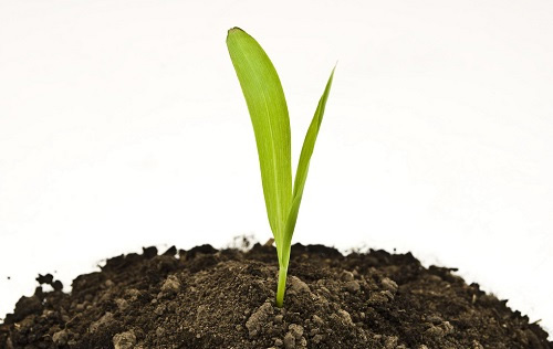 測土儀適量施肥解決土壤貧瘠問題