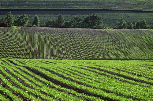測土配方精準施肥，農業生產好處多！