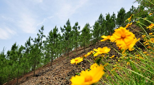 土壤養分速測儀掌握農田的墑情 有利于提高作物的產量和品質
