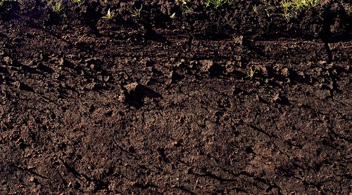 如何操作土壤肥料養分速測儀才能測出數據