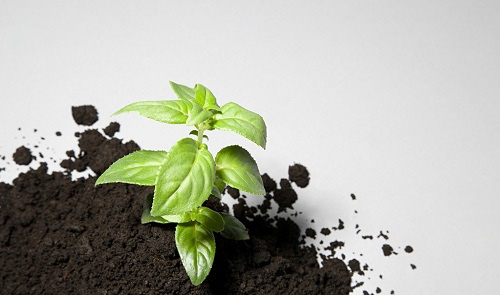 土壤養分速測儀是種植農作物的好幫手！