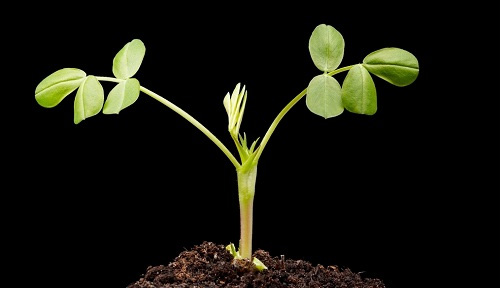 土肥專用---專業的土壤肥料養分檢測儀的產品優勢和測試項目