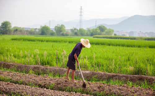 測土配方施肥儀的使用條件分類介紹