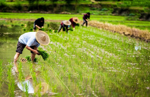 4個方法，提示你土壤鹽分速測儀的選擇技巧