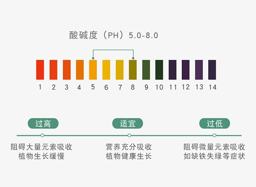 應用土壤pH速測儀加強土壤檢測