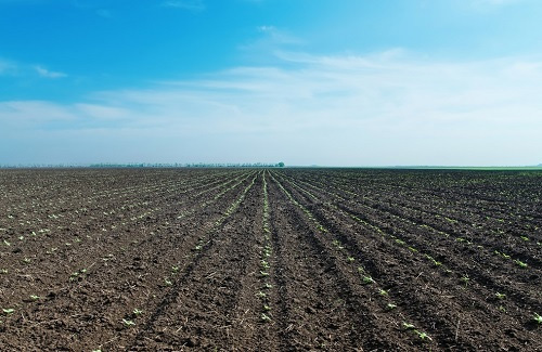 土壤測試儀對耕地土壤環境改善的重要作用