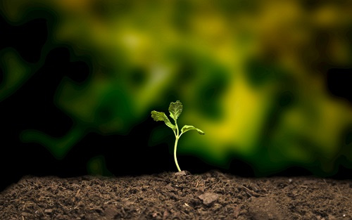 指導農民合理施肥---土壤養分檢測儀的功能、作用概述