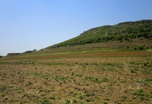 耕地保護參謀官-土壤養分速測儀