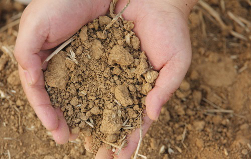 測土配方施肥儀：測土正確的取樣方式