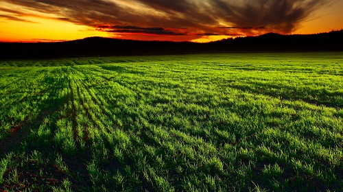 測土配方施肥儀：精準施肥杜絕肥害