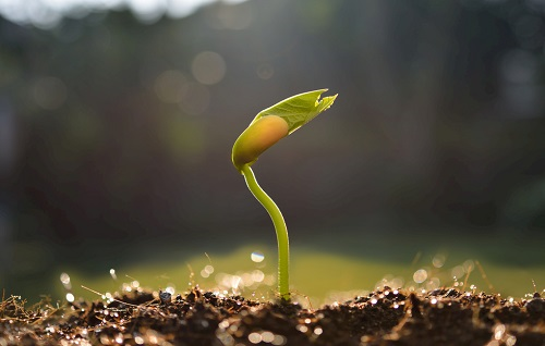 測土儀：土壤改良中的應用