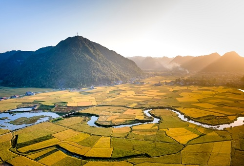 土壤水分溫度與植物的關系-便攜式土壤水分溫度速測儀