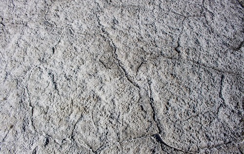 土壤肥料檢測儀：科學用肥減少土壤鹽堿化