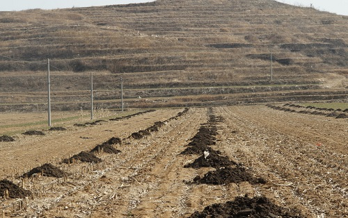 土壤養分速測儀在棉花平衡施肥中的應用