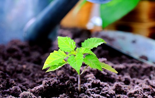 使用多參數土壤測量儀做土壤檢測全面可靠