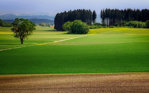 應用多參數土壤測量儀全面了解土壤的健康狀況
