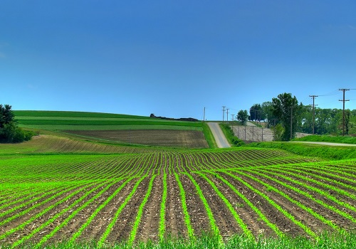 土壤水分溫度檢測儀讓農人更了解土地“脾氣”