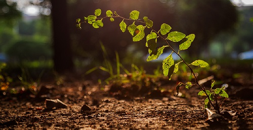 應用土壤儀器實現土壤的可持續性利用