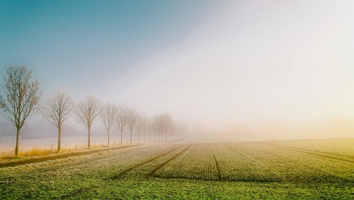 檢測土壤養分缺失就用測土配方施肥儀-精準施肥