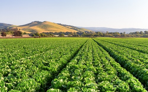 運用土壤養分測試儀進行土壤營養分析的重要性