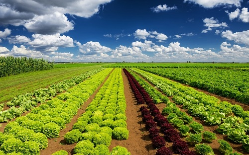 土壤墑情監測系統讓土壤墑情監測服務更深入