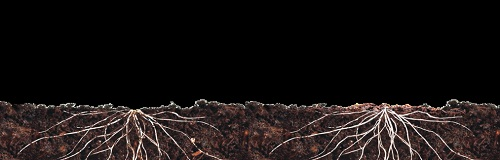 土壤肥料檢測儀讓土壤肥沃又增產