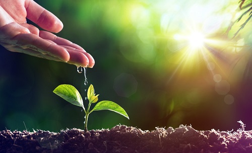 土壤墑情監測系統為農業計劃灌溉提供技術支持