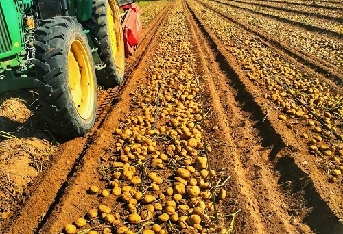土壤水分測定儀對于現代農業發展產生的積極作用