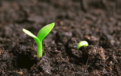 測土儀是解決作物需肥和土壤供肥矛盾的關鍵橋梁