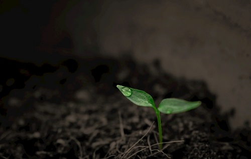 土壤墑情監測系統能夠輕松化解作物需水和補水之間的矛盾