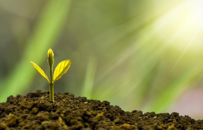 土壤水勢儀是什么？土壤水勢儀可應用于哪些領域？