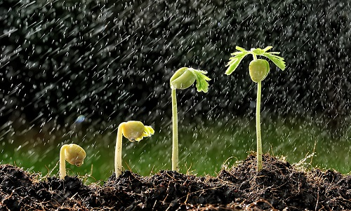 常用土壤水分測量方法詳細介紹