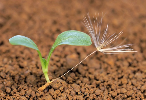 土壤緊實度儀是什么，它的準確性如何來保證