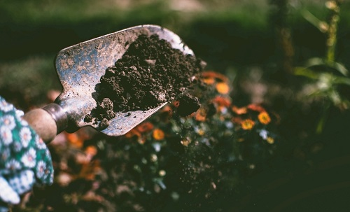 土壤肥料養分速測儀研究土壤養分檢測和檢測力度