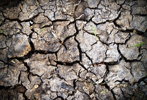 便攜式土壤養分速測儀介紹(有什么用途)