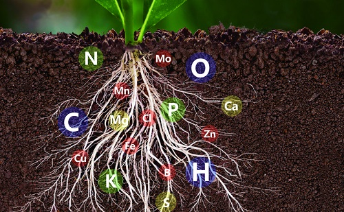 管式土壤墑情監測儀介紹（管式土壤墑情監測儀重要性）