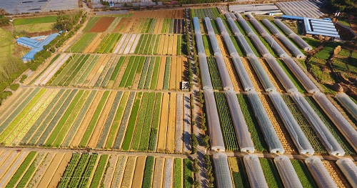 農(nóng)民合作社怎么選購(gòu)測(cè)土儀？