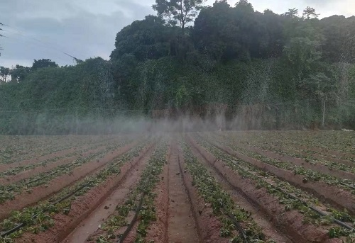 分享-土壤水分測(cè)定儀的使用注意事項(xiàng)