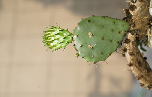 維護(hù)保養(yǎng)土壤緊實(shí)度儀，做到這五點(diǎn)就行！