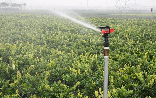 土壤肥料速測(cè)儀在土壤速測(cè)中的優(yōu)勢(shì)作用