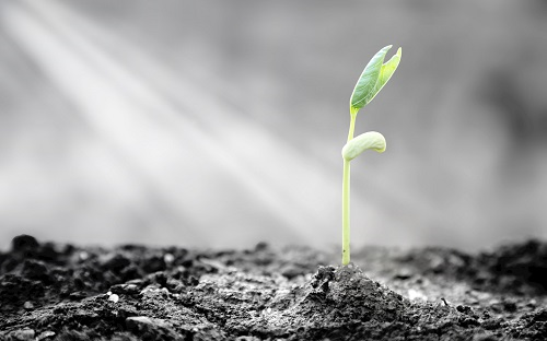 一文帶你快速了解土壤分析儀的功能特點(diǎn)