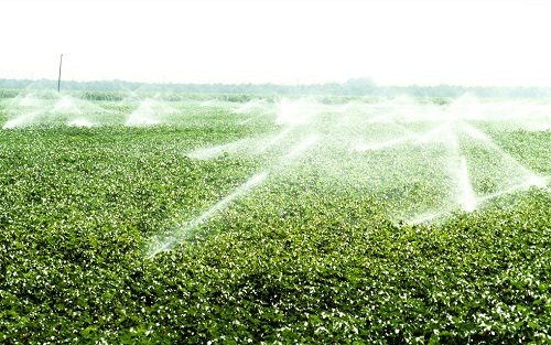 土壤墑情監(jiān)測(cè)系統(tǒng)是如何收集墑情信息呢？土壤墑情監(jiān)測(cè)系統(tǒng)的測(cè)量原理