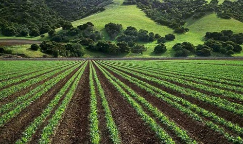 土壤養(yǎng)分快速分析儀測(cè)量結(jié)果的準(zhǔn)確性如何?