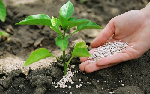 土壤養(yǎng)分測(cè)試儀對(duì)提高土壤肥力的重要幫助是什么？